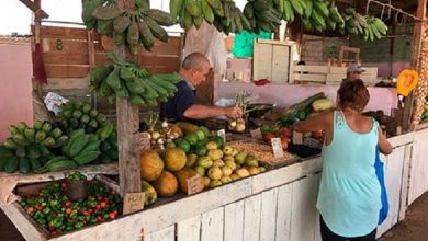 precios agrícolas pinar