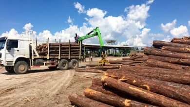 Empresa Agroforestal Macurije