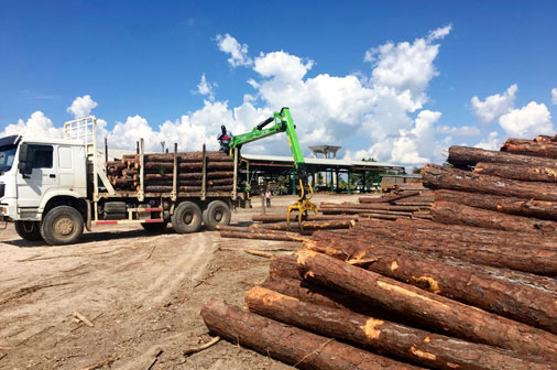 Empresa Agroforestal Macurije