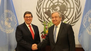 Rodríguez y Guterres también abordaron temas relacionados con la paz y la seguridad internacionales. Foto/ @BrunoRguezP