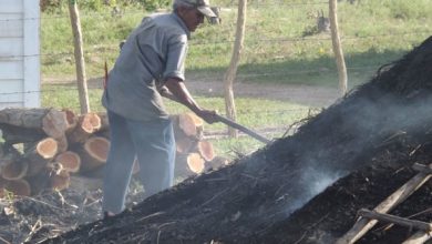 En ese sentido, sobresalen empresas como Cubaquivir, Agroindustrial Enrique Troncoso, Industrias Locales Varias, Agroindustrial de Granos Los Palacios y Pesquera Industrial La Coloma, por solo citar algunos ejemplos. La provincia también destaca por las producciones de concentrado de plomo y de zinc, que se procesan en el proyecto Castellano, a cargo de la Empresa Minera del Caribe S.A. (Emincar), y que en 2018 exportó valores ascendentes a unos 117 millones de pesos. El 2019, tiene que marcar el despegue de las exportaciones en la provincia. Mención merecen entidades como la Empresa de Industrias Locales Varias, la cual hoy fomenta y exporta más de una docena de productos y la Fábrica de Ron El Valle, única del país fuera del sistema de Cuba Ron, que envía fuera de fronteras sus producciones. En este sentido, una noticia realmente alentadora resulta la reinserción de la emblemática Fábrica La Conchita en el mercado internacional, con la comercialización de la demandada crema de guayaba, una de sus líneas estrellas. No obstante es preciso sumar nuevos productos para la exportación, asimilar experiencias positivas implementadas en otros territorios, y lograr que las empresas asuman un papel más activo en la gestión de su propio desarrollo. Profundizar en cada municipio y aprovechar al máximo el vínculo con las universidades para crear estrategias de desarrollo local que incluyan proyectos de exportación, pudiera ser un camino para que la gente sienta que es protagonista en esta historia, porque de ello dependen los dividendos que necesita el país para impulsar la economía. Como ha insistido el Presidente cubano, Miguel Díaz-Canel, el desafío está en allanar el camino para que sus resultados se aprecien más temprano que tarde, con menos trabas y limitaciones, y que cada obrero sienta que trabaja para un beneficio social, a la vez que mejora la economía familiar.