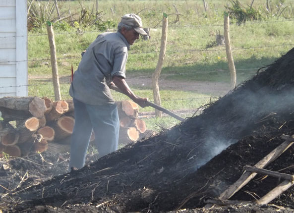 En ese sentido, sobresalen empresas como Cubaquivir, Agroindustrial Enrique Troncoso, Industrias Locales Varias, Agroindustrial de Granos Los Palacios y Pesquera Industrial La Coloma, por solo citar algunos ejemplos. La provincia también destaca por las producciones de concentrado de plomo y de zinc, que se procesan en el proyecto Castellano, a cargo de la Empresa Minera del Caribe S.A. (Emincar), y que en 2018 exportó valores ascendentes a unos 117 millones de pesos. El 2019, tiene que marcar el despegue de las exportaciones en la provincia. Mención merecen entidades como la Empresa de Industrias Locales Varias, la cual hoy fomenta y exporta más de una docena de productos y la Fábrica de Ron El Valle, única del país fuera del sistema de Cuba Ron, que envía fuera de fronteras sus producciones. En este sentido, una noticia realmente alentadora resulta la reinserción de la emblemática Fábrica La Conchita en el mercado internacional, con la comercialización de la demandada crema de guayaba, una de sus líneas estrellas. No obstante es preciso sumar nuevos productos para la exportación, asimilar experiencias positivas implementadas en otros territorios, y lograr que las empresas asuman un papel más activo en la gestión de su propio desarrollo. Profundizar en cada municipio y aprovechar al máximo el vínculo con las universidades para crear estrategias de desarrollo local que incluyan proyectos de exportación, pudiera ser un camino para que la gente sienta que es protagonista en esta historia, porque de ello dependen los dividendos que necesita el país para impulsar la economía. Como ha insistido el Presidente cubano, Miguel Díaz-Canel, el desafío está en allanar el camino para que sus resultados se aprecien más temprano que tarde, con menos trabas y limitaciones, y que cada obrero sienta que trabaja para un beneficio social, a la vez que mejora la economía familiar.