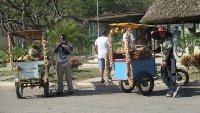 Trabajo por cuenta propia en Sandino