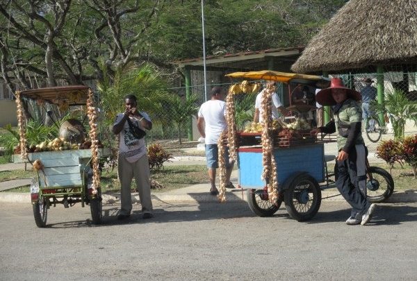 Trabajo por cuenta propia en Sandino