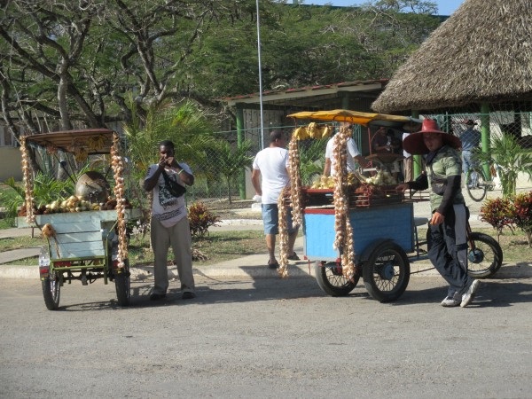 Trabajo por cuenta propia en Sandino