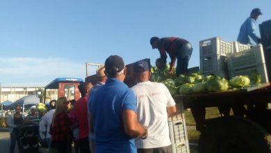 Mejorar los rendimientos productivos, una prioridad de la Agricultura Urbana en Sandino