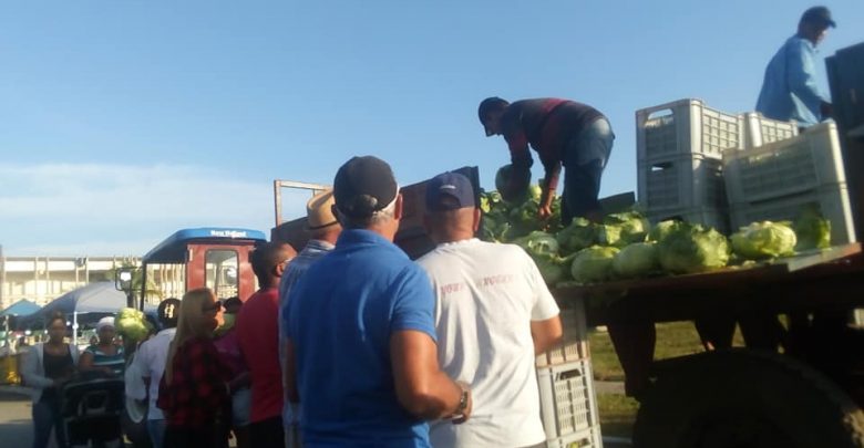 Mejorar los rendimientos productivos, una prioridad de la Agricultura Urbana en Sandino