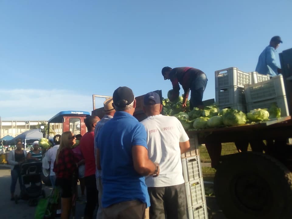 Mejorar los rendimientos productivos, una prioridad de la Agricultura Urbana en Sandino