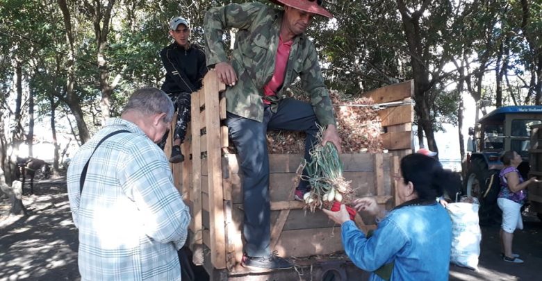 Desarrollan Feria Agropecuaria y Comercial en Sandino