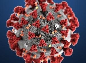 Coronavirus en la mente de una niña