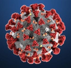 Coronavirus en la mente de una niña