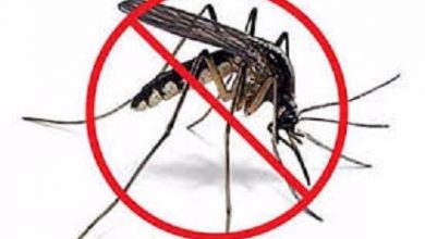 Se intensifican labores contra el mosquito Aedes Aeyipty en Sandino