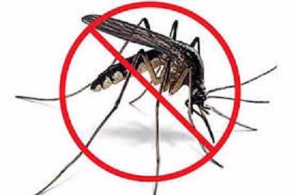 Se intensifican labores contra el mosquito Aedes Aeyipty en Sandino