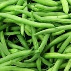 Producir alimentos a pesar de la sequía prioridad del organopónico El Tomate