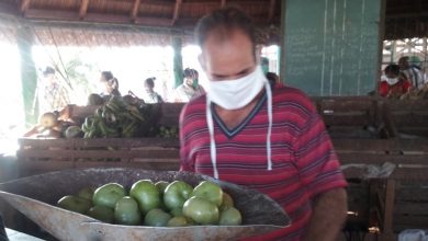 Regulan venta de productos agropecuarios en el mercado agropecuario estatal el Framboyán