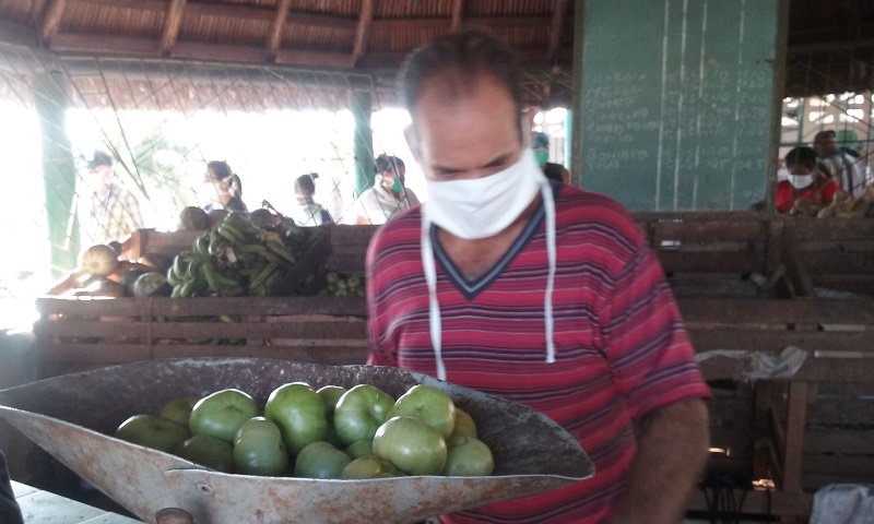 Regulan venta de productos agropecuarios en el mercado agropecuario estatal el Framboyán