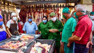 Incrementan líneas de producción en matadero de Guane