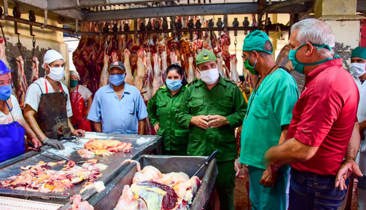 Incrementan líneas de producción en matadero de Guane