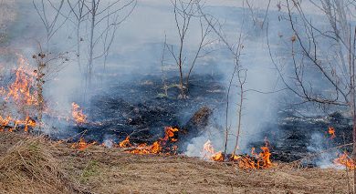 Un incendio siempre puede evitarse