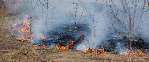 Un incendio siempre puede evitarse