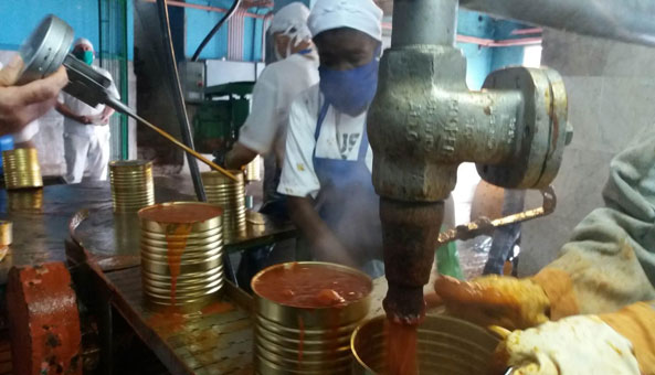 la conchita producciones variadas