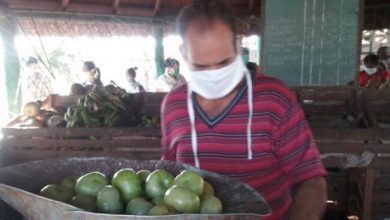 Abogan en Sandino por un mayor control de los productos agropecuarios