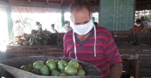 Abogan en Sandino por un mayor control de los productos agropecuarios