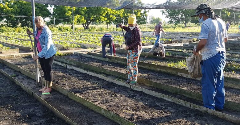 Saludan jóvenes sandinenses día del campesino
