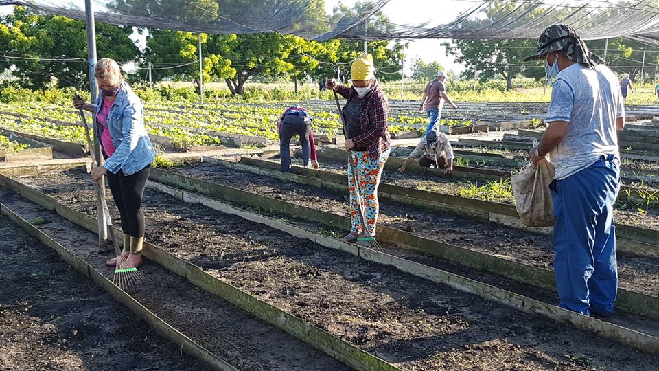 Saludan jóvenes sandinenses día del campesino