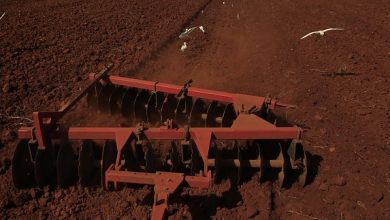 La preparación de tierras, una prioridad del sector de la Agricultura en Sandino