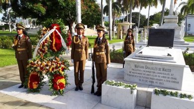 tributo madre de la patria mariana