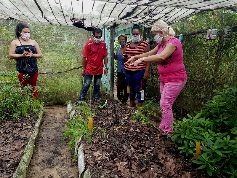 movimiento Cultiva tu pedacito sandino