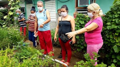 movimiento cultiva tu pedacito sandino