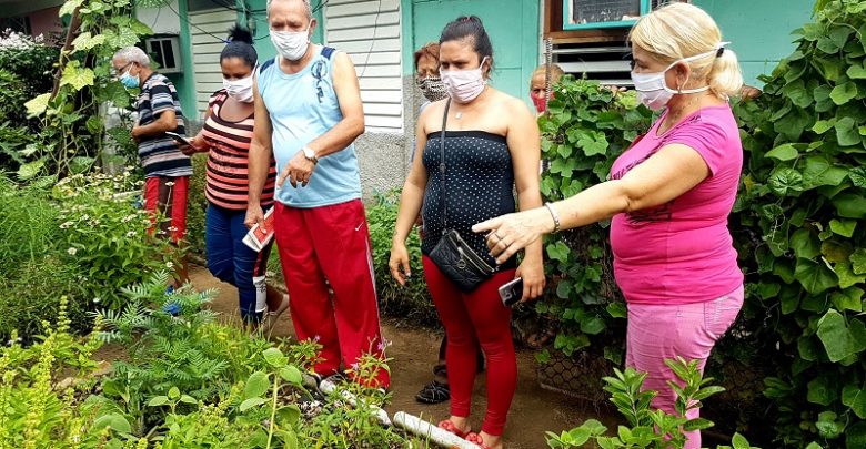 movimiento cultiva tu pedacito sandino