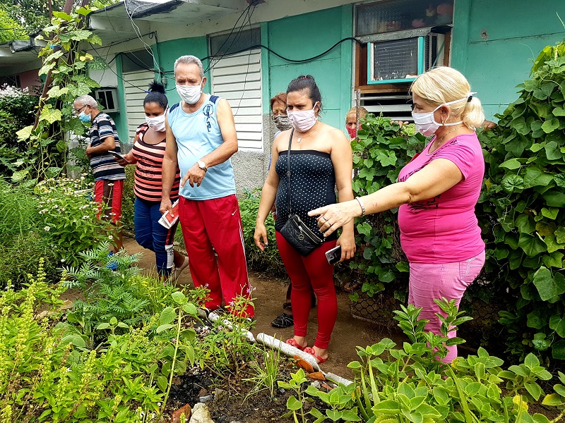 movimiento cultiva tu pedacito sandino