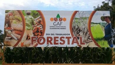 En Sandino los trabajadores Forestales están de fiesta