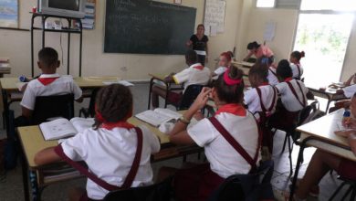 reinicio curso escolar pinar