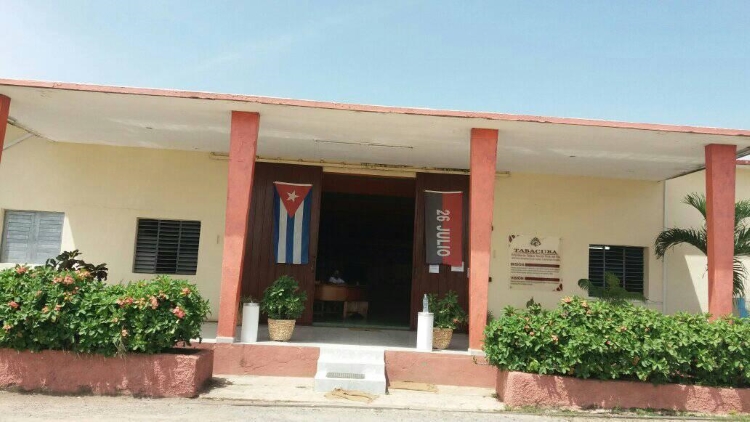 tabaco torcido pinar