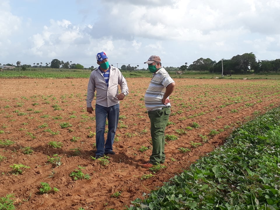 Realizan diversas tareas en Sandino víspera del 26 de Julio