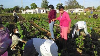 producción alimentos trabajadores