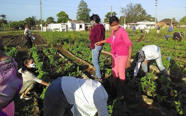 producción alimentos trabajadores