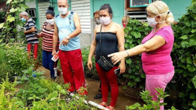 Labor de la mujer cubana imprescindible hoy y siempre