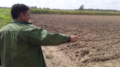 Rodolfo Lamas Valdés garantiza producción de alimentos en Sandino