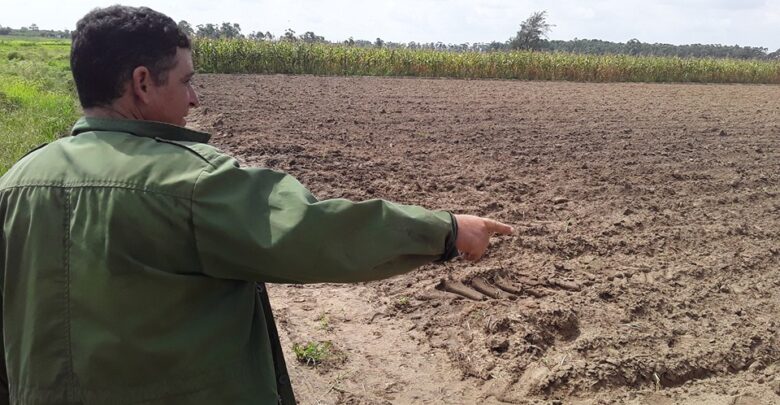 Rodolfo Lamas Valdés garantiza producción de alimentos en Sandino