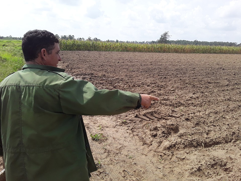 Rodolfo Lamas Valdés garantiza producción de alimentos en Sandino