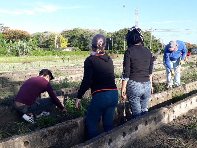 tareas impacto social