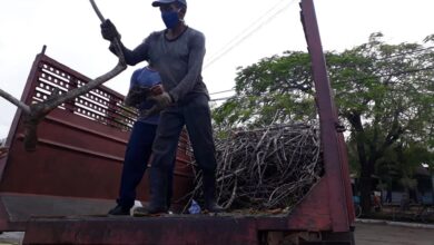 Agilizan recogida de desechos sólidos tras el paso de Laura, trabajadores del sector de comunales en Sandino