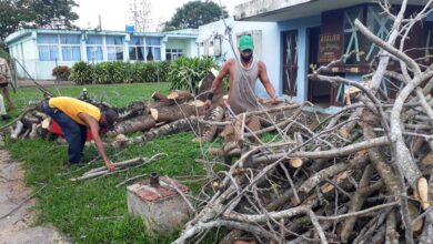 Continúa la recuperación en Sandino tras el paso de la tormenta tropical Laura