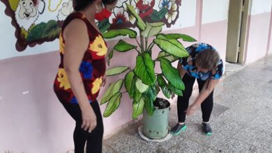 Escuela Especial en Sandino asegura las condiciones para la nueva etapa