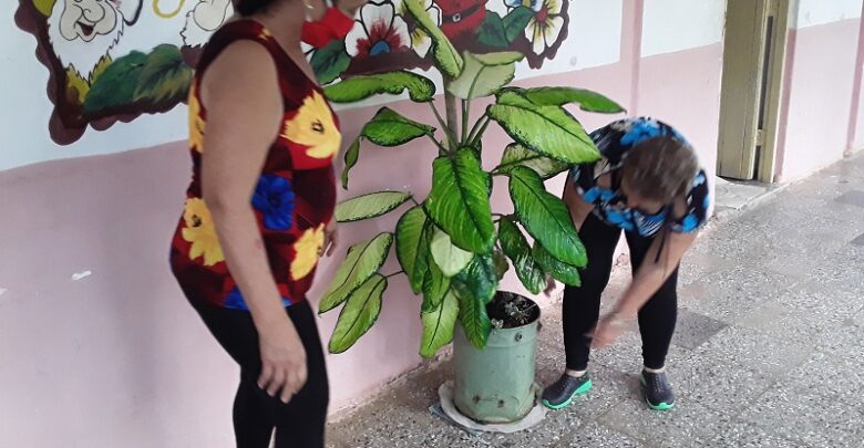 Escuela Especial en Sandino asegura las condiciones para la nueva etapa